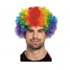 Multicolor Joker WIG